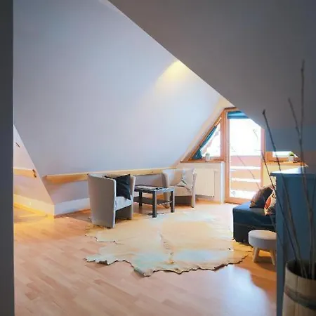 Trzynastka Pod Krokwia - Blisko Skoczni I Kuznic Zakopane